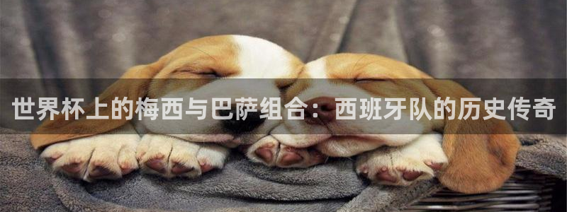 世界杯视频：世界杯上的梅西与巴萨组合：西班牙队的历史传奇