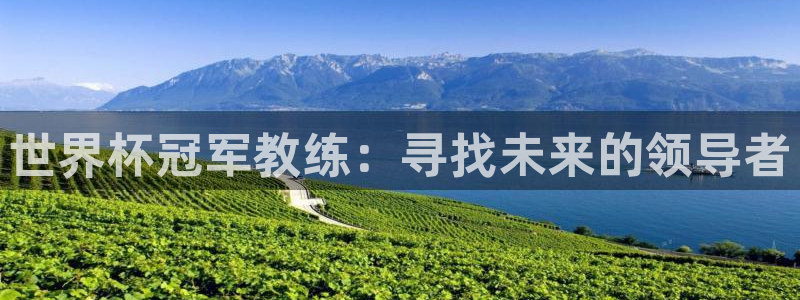 2026世界杯小组赛赛程时间表：世界杯冠军教练：寻找未来的领导者