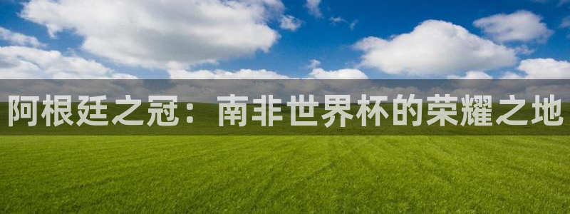 世界杯系列赛：阿根廷之冠：南非世界杯的荣耀之地