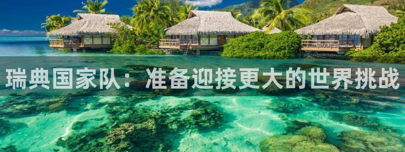 世界杯直播：瑞典国家队：准备迎接更大的世界挑战
