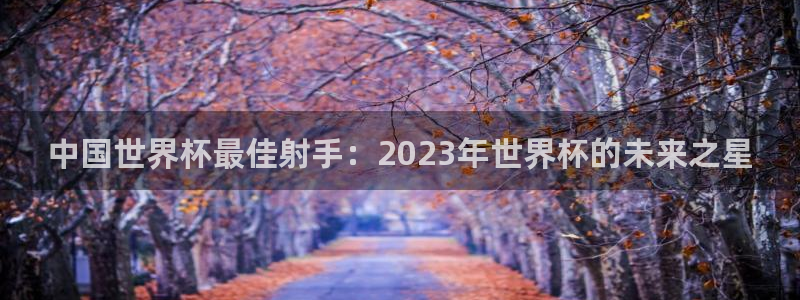 世界杯2026赛制：中国世界杯最佳射手：2023年世界杯的未来之星
