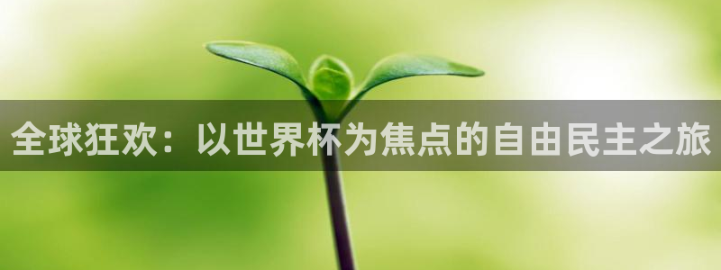 世界杯亚洲预选赛18强赛程：全球狂欢：以世界杯为焦点的自由民主之旅