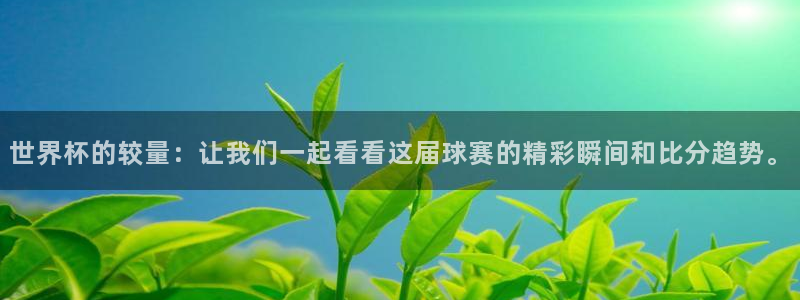 2026世预赛全部赛程：世界杯的较量：让我们一起看看这届球赛的精彩瞬间和比分趋势。
