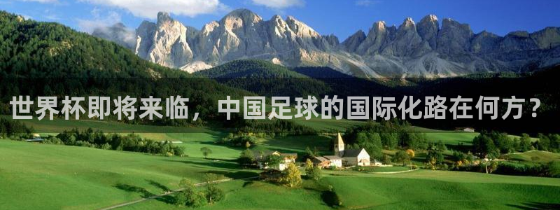 美国世界杯：世界杯即将来临，中国足球的国际化路在何方？