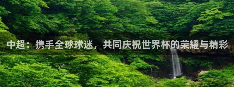 足球世界杯预选赛：中超：携手全球球迷，共同庆祝世界杯的荣耀与精彩